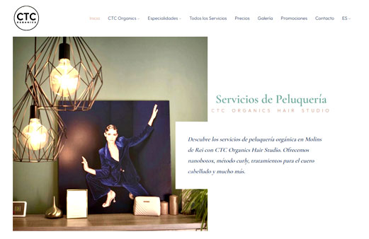 Diseño y creación de Paginas Web, Tiendas Online y Inteligencia Artificial